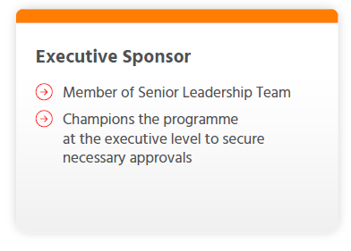 1b_-_Executive_Sponsor.png